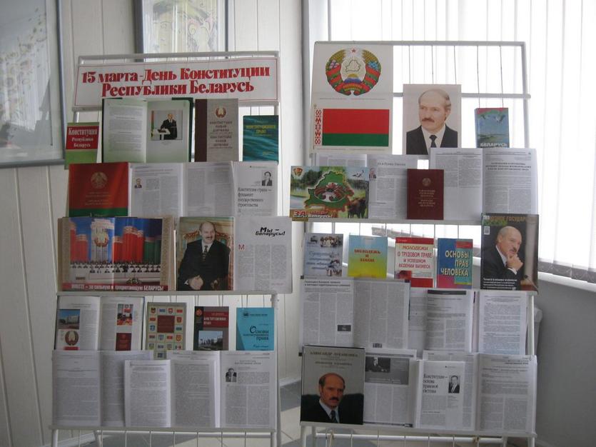 Состоялся открытый просмотр ко Дню Конституции Республики Беларусь