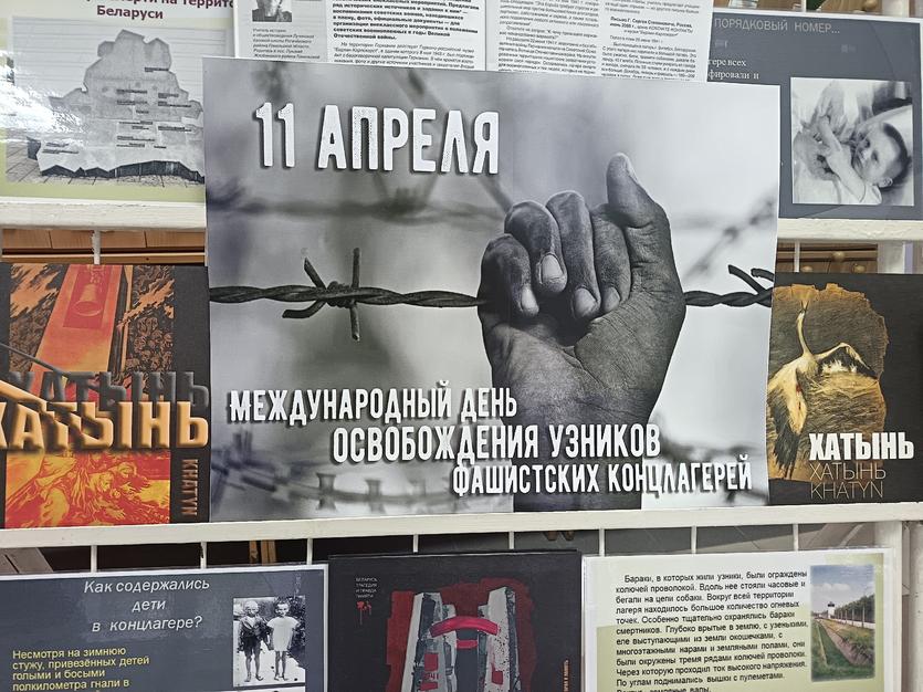 ОП «Тяжелая правда войны».jpg