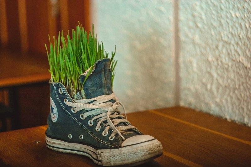 В ГГТУ им. П.О.Сухого пройдет открытый студенческий экологический фестиваль «Экомода – 2015 »