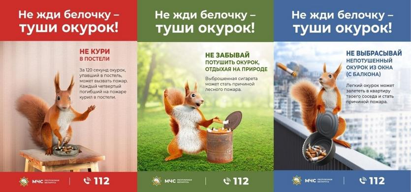 «Не жди белочку – туши окурок!»: информационно-пропагандистская кампания МЧС Беларуси