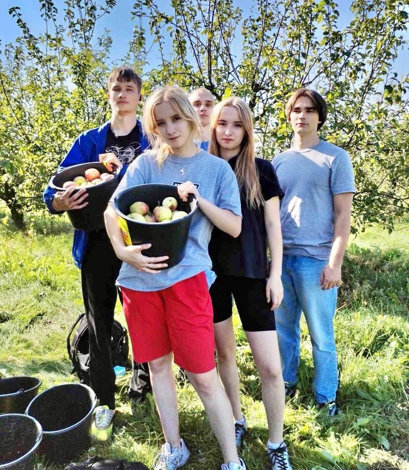 11.jpg