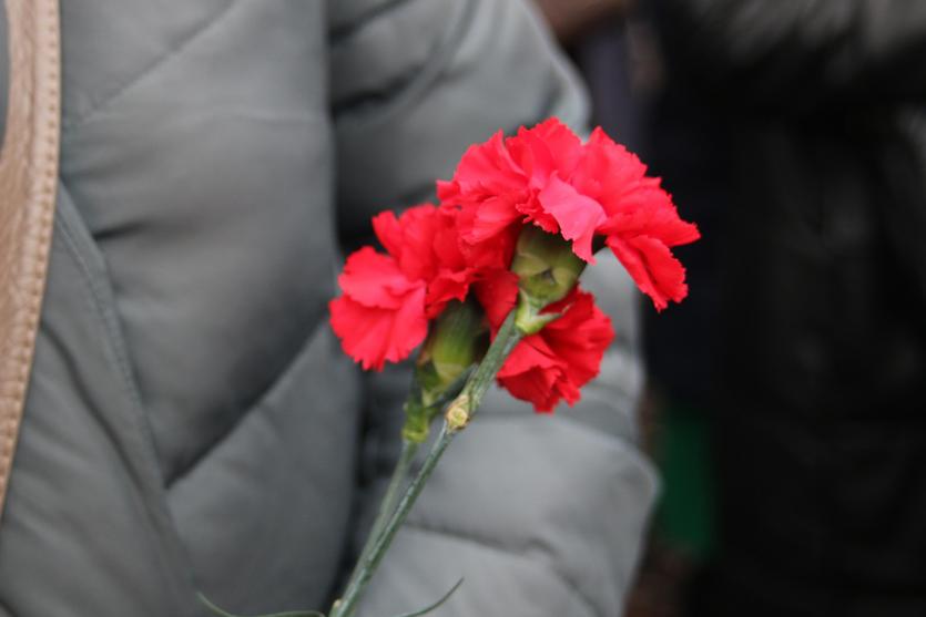 img_3350.jpg img_3350.jpg