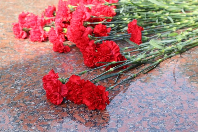 img_1687_-_kopiya.jpg