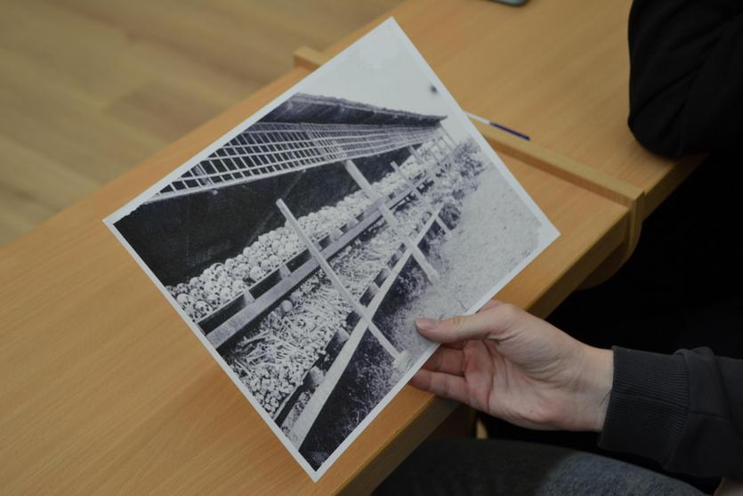 dsc_9444.jpg dsc_9444.jpg