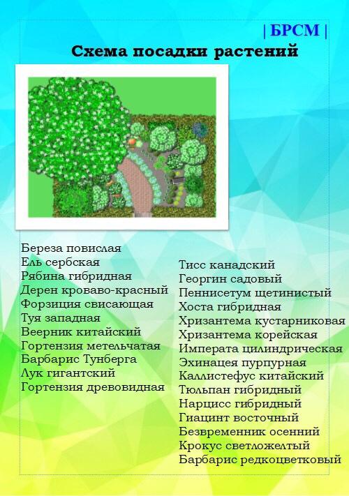 2- е место в одной из номинаций республиканского конкурса "Молодежь за чистоту городов и сел" - у ПО ОО БРСМ ГГТУ им. П.О. Сухого.jpg