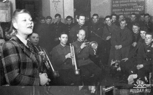 shulzhenko4.jpg