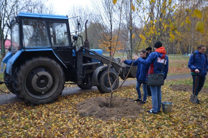 Студенты ГГТУ приняли участие в высадке деревьев, приуроченной к 100-летию ВЛКСМ