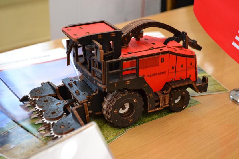 dsc_0013.jpg dsc_0013.jpg