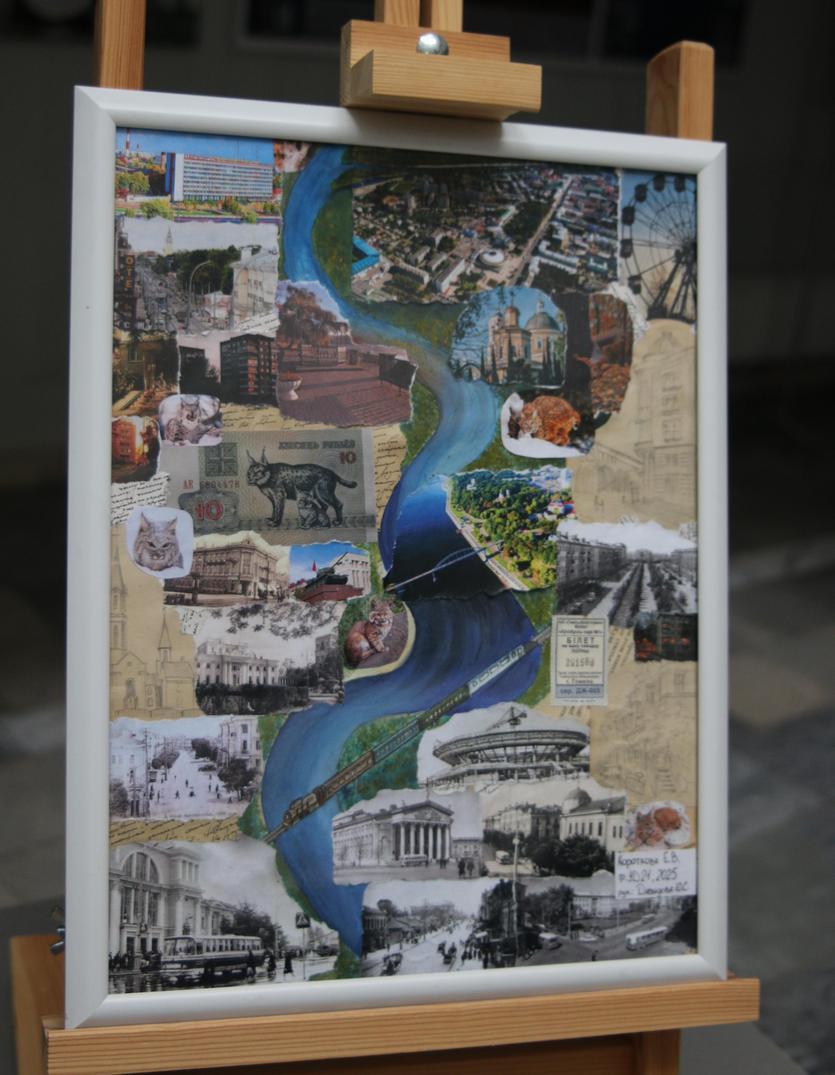 img_6337.jpg img_6337.jpg