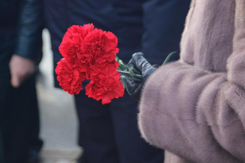 photo_2026-02-20_16-33-38.jpg photo_2026-02-20_16-33-38.jpg