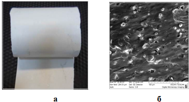 image6.png