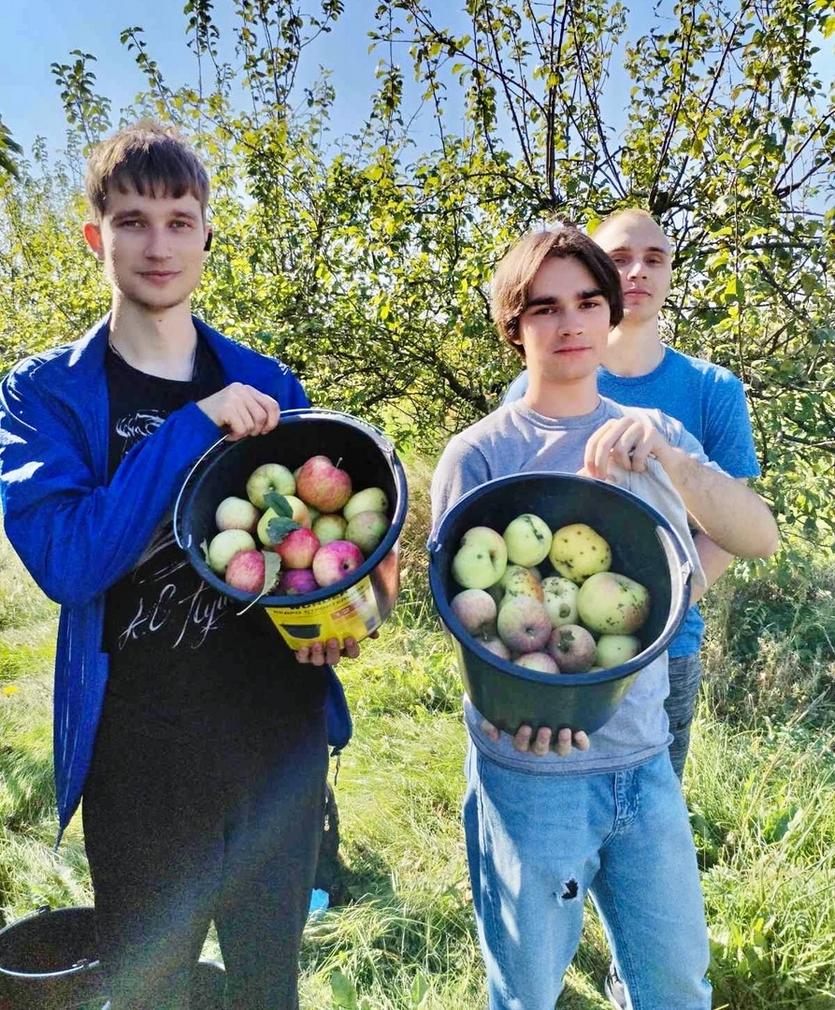12.jpg