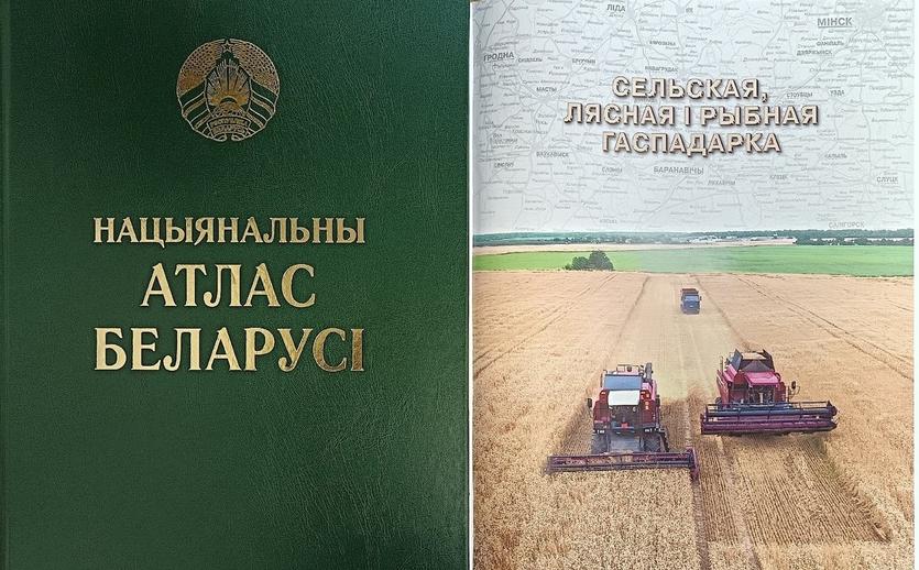127.jpg