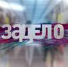  Бойцы студенческих отрядов приняли участие в акции #ЗаДело